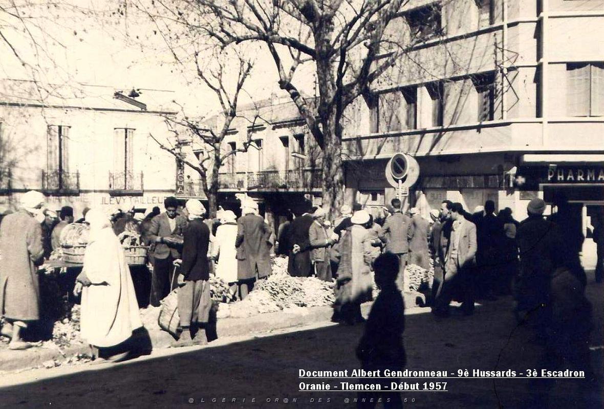 Tlemcen 200 .jpg